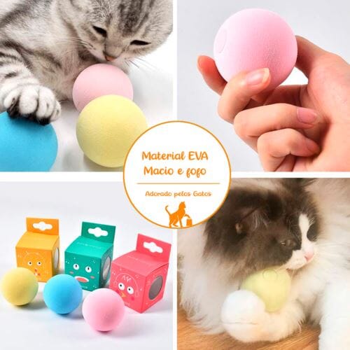 Bolinhas Para Pets - Pet Fun Pet 031 Divino Produto 