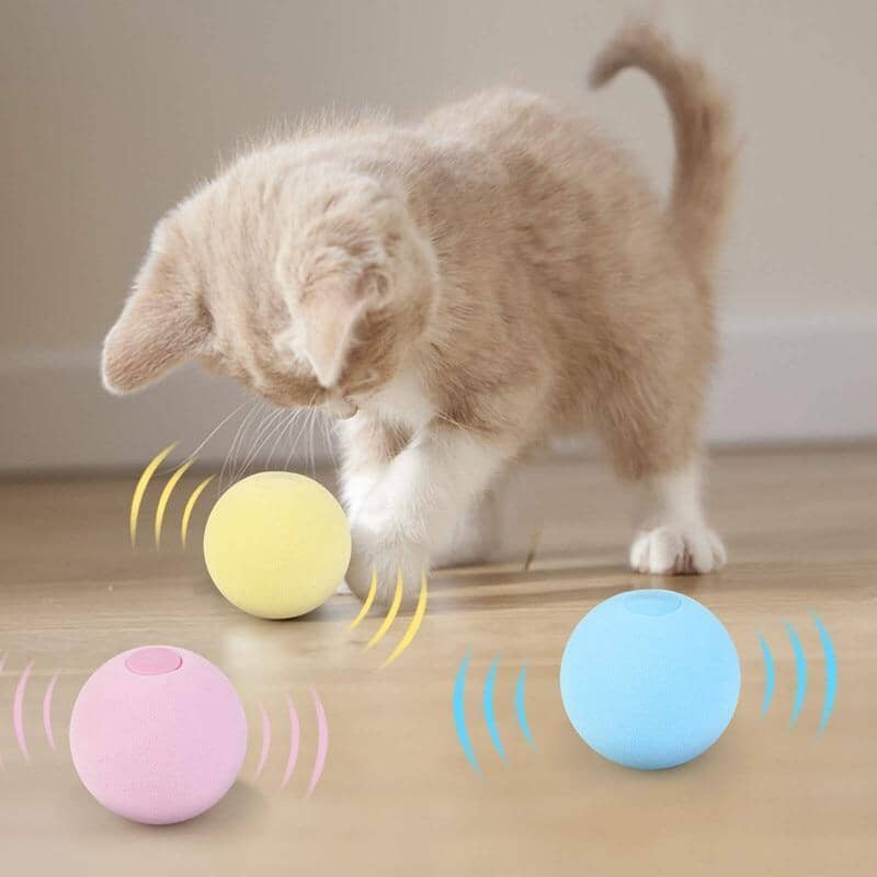 Bolinhas Para Pets - Pet Fun Pet 031 Divino Produto 