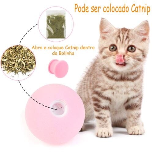 Bolinhas Para Pets - Pet Fun Pet 031 Divino Produto 