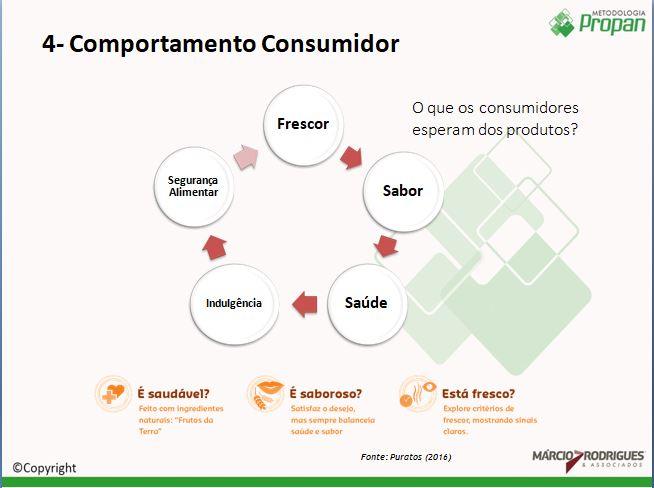 Curso Análise de Performance e Controladoria com Márcio Rodrigues Metodologia PROPAN Curso, treinamento, consultoria, capacitação, gestão, estratégia Paneshopping.com 