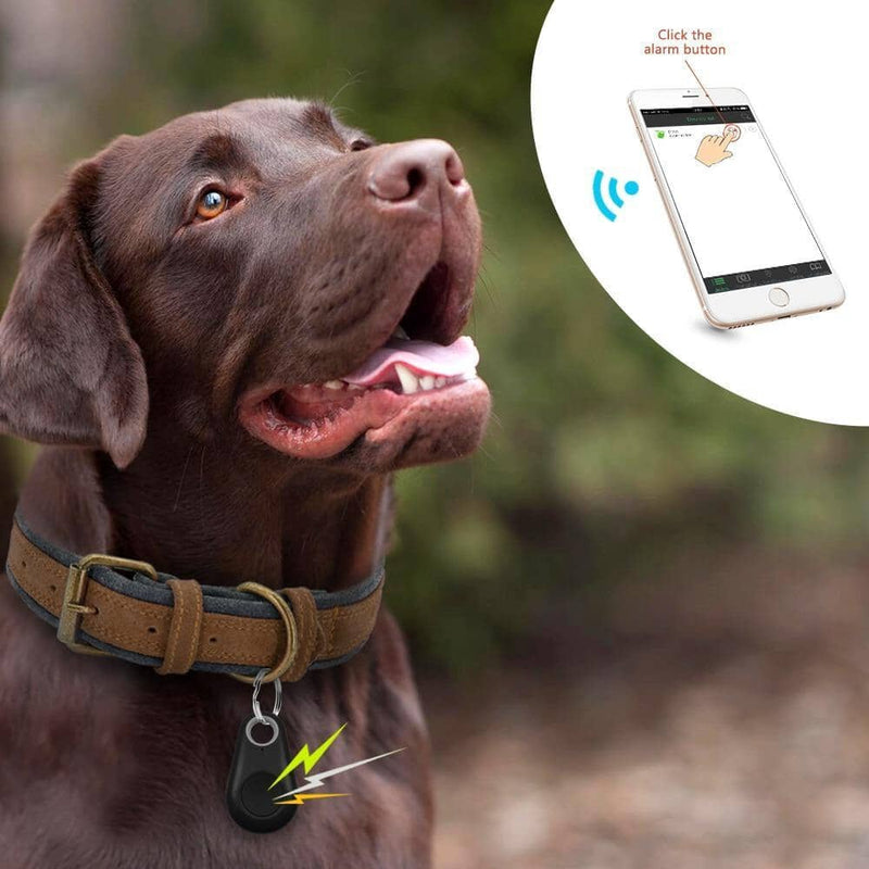 Rastreador GPS Coleira Para Cachorros Gatos Chaves Bolsas Mala Criança PET01 Divino Produto 